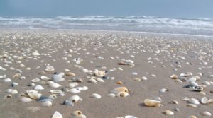 san jose island beach texas