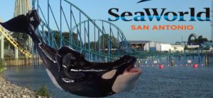 seaworld san antonio